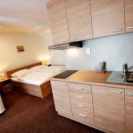 Hotel Hotel Lucivna